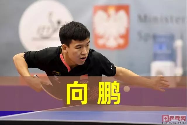 的体育新闻 的体育新闻