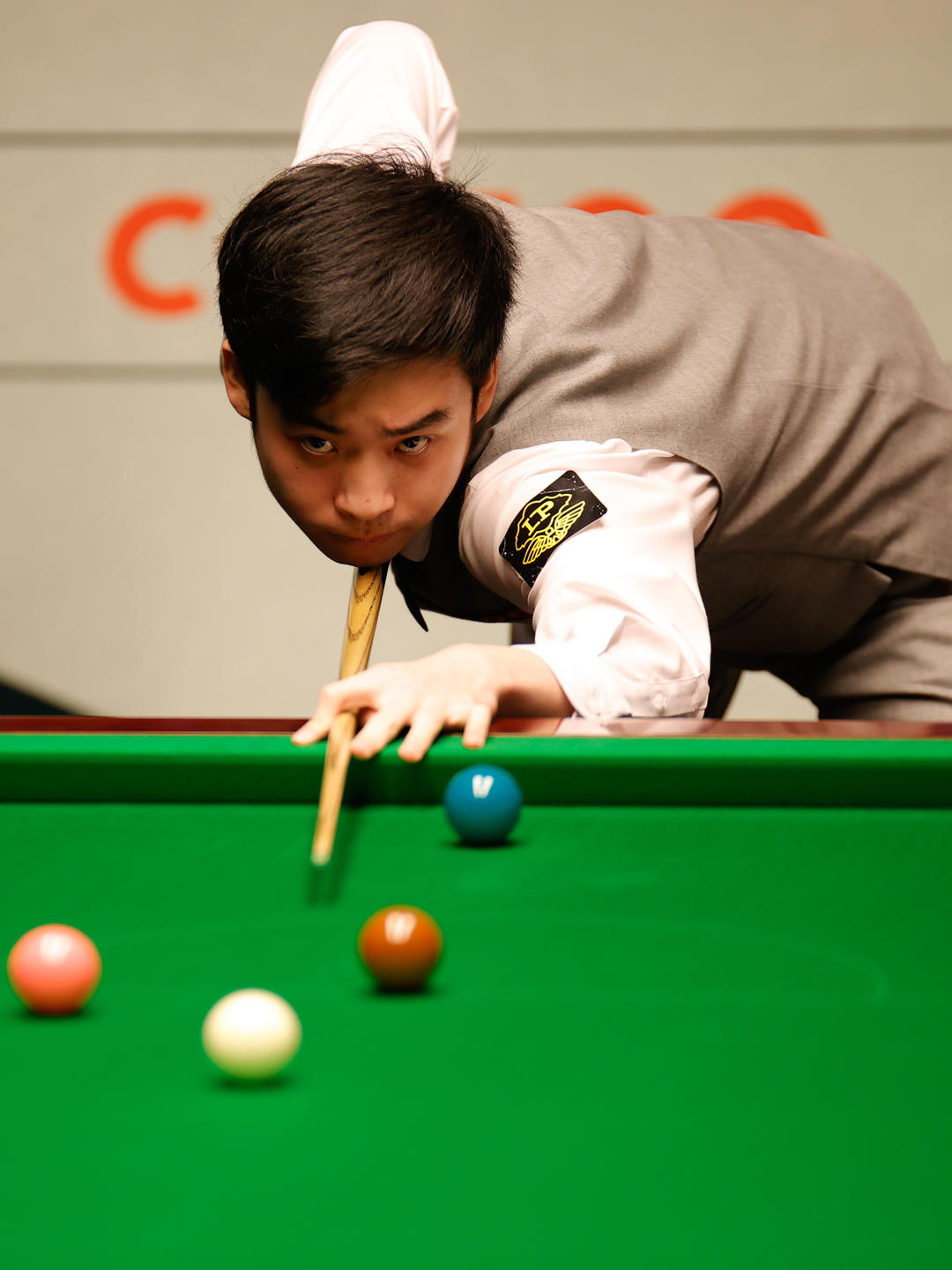 展趋势的缩 展趋势的缩