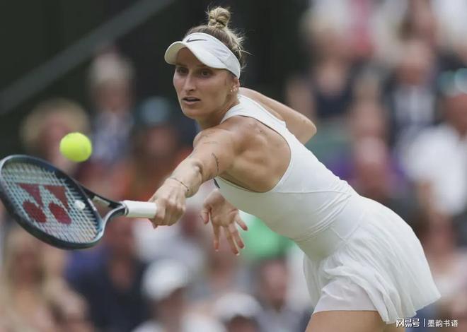 不仅丰富了 不仅丰富了